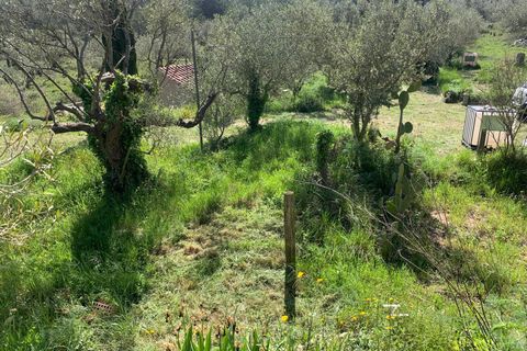 Landejendom i Tortosa, Tarragona, Tortosa - € 139.000 | Ref: Tor9079fra - foto 26